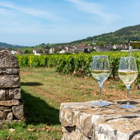 Charmante Maison Climatisee Avec Son Jardin A 10 Minutes De Dijon マルサネ・ラ・コート エクステリア 写真