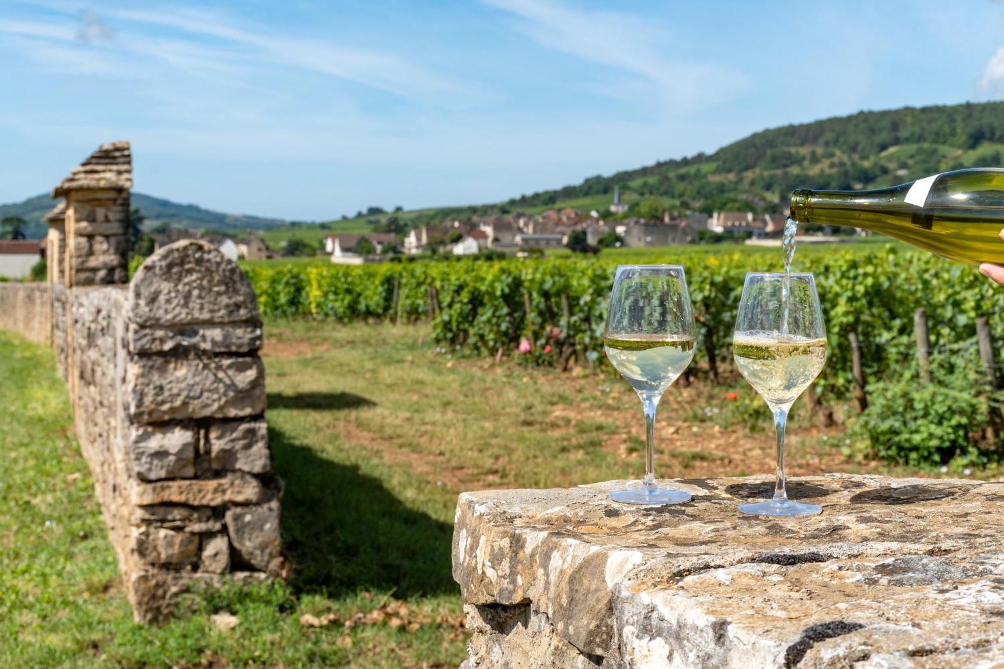 Charmante Maison Climatisee Avec Son Jardin A 10 Minutes De Dijon マルサネ・ラ・コート エクステリア 写真